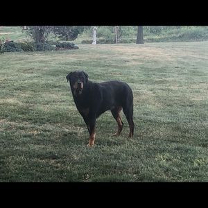 Meet your Posher, Carl